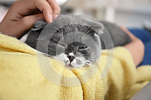 Woman stroking her cat at home