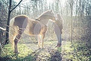 Woman stroking horse