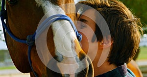 Woman stroking horse at stable 4k