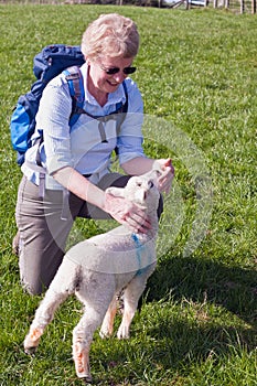 Woman Stroking a Lamb photo