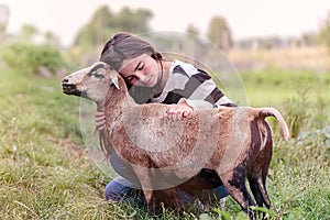 Woman is stroking a sheep