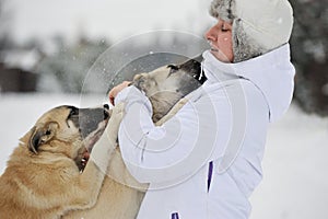 Woman is stroking two puppyes on white snow