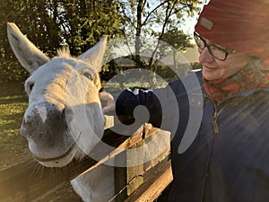 Woman stroking a white donkey, early morning light