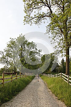 Woman strolling along path