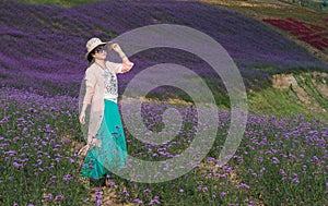 A Woman in Stunning Large Lavender Field