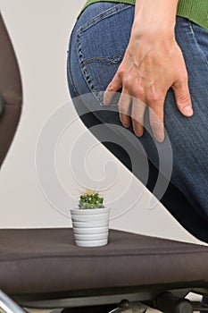 Woman Suffering From Hemorrhoids And Thorny Cactus
