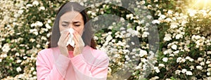 Woman suffering from seasonal pollen allergy near blossoming tree on spring day. Banner design with space for text