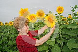 Woman on a sunflower field photo