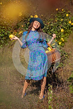 Woman on sunny fall day with full basket colecting fruits at plantation of quinces