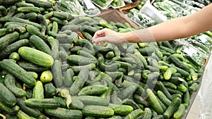 A woman in a supermarket on a vegetable shelf, buys vegetables and fruits. Man chooses cucumber . Slow motion