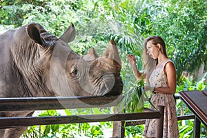 Woman surprised while feeding the rhino