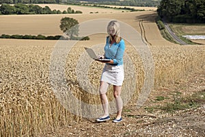 Woman surveying field of wheat UK