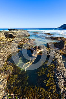 Woman swim in nature pool Sydney sea.