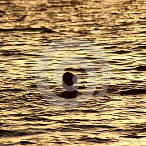 Woman Swimming