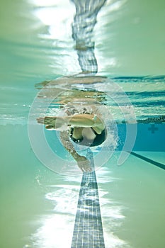 Woman swimming laps