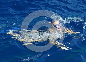 Woman swimming in ocean