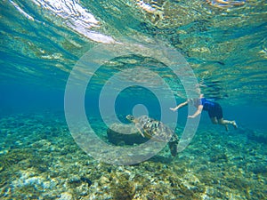 Woman swimming with sea turtle. Exotic sea animal. Tropical island vacation sport activity.