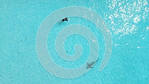 Woman swimming with stingray in Maldives. Sting ray fishes swimming in blue ocean, aerial view