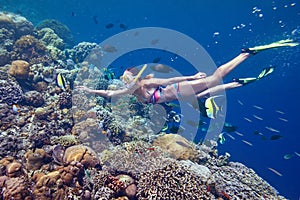 Woman swimming underwater playing with colorful fish near coral