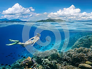 Woman swims around a coral reef