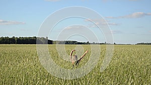Woman swing wheat field
