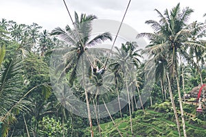 Woman swings in the deep jungle. Bali island.