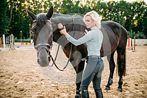 Woman take caring for the hair of brown horse