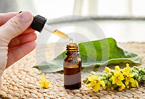 Woman take homemade herbal medicinal tincture made of Verbascum thapsus, the great mullein, greater mullein or common mullein.