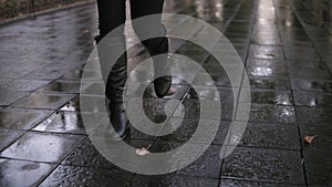 Woman take walk at autumn park walking along the pavement alley. Close up legs and shoes view. Graceful lady wear black