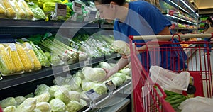 Woman takes ripe fresh cabbage from the shelf and puts them in a basket. Attractive young woman chooses fresh cabbage