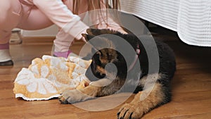 Woman taking care of her pet, drying little dog after bath shower in bathroom, using towel. Grooming concept