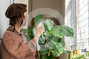 Woman taking care of houseplants at home misting leaves of Alocasia macrorrhiza