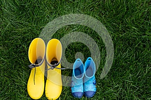 Woman taking care of plants in backyard. Gardening tools and spring flowers on grass background. Rubber boots standing near wooden