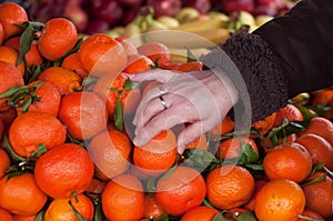 woman taking with hand oranges fruits at the market