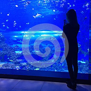 Woman taking a photo at aquarium