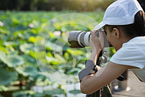 Woman taking photo of blooming lotus