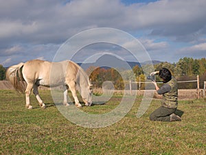 Woman taking photo of nice grazing horse on meadow