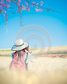 Woman taking photo of wheat field in the morning
