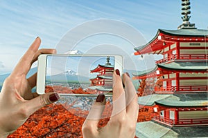 Woman taking photograph with a smart phone camera at Mt. Fuji with fall colors in Japan.