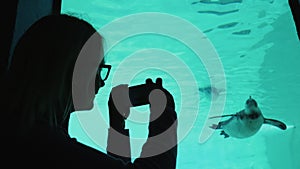 A woman is taking pictures of a penguin that swims in the pool