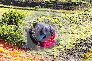 Woman taking pictures of vegetation with a professional camera