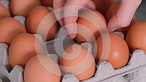 Woman taking three chicken eggs from a carton of eggs