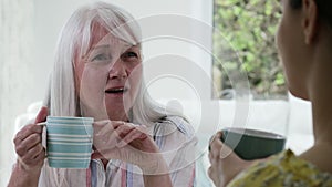 Woman Taking Time To Visit Senior Female Neighbor And Talk