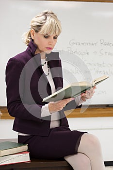 Woman Teacher Reading