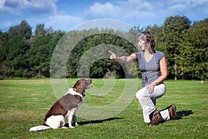 Woman teaches her dog a command photo