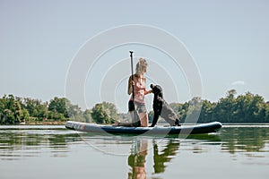 Woman teaching her labrador retriever to be comfortable on a sup board