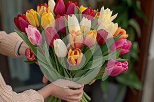 A woman tender grasp cradles a vivid array of tulips