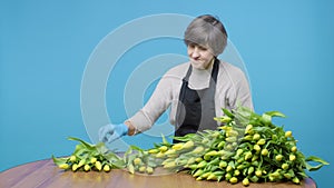 Woman tends yellow tulips on wooden table