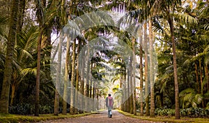 Woman in Terra Nostra botanic garden, travel destination Azores