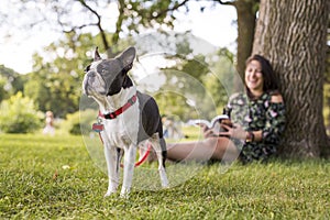 Woman with terrier dog outside at the park